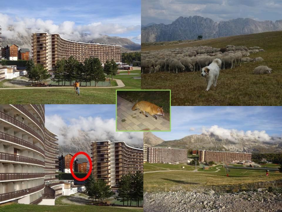 Appartement 8-10 Personnes Superdevoluy Hautes Alpes Rez De Chaussee Vue Panoramique 3 Chambres Saint-Étienne-en-Dévoluy Buitenkant foto